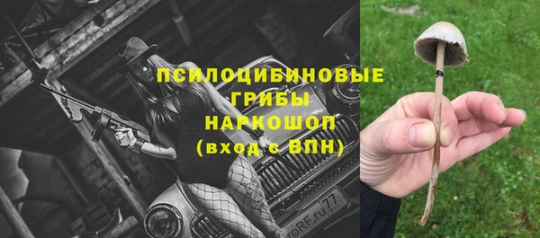 гидра Белоозёрский