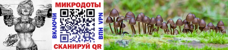 Псилоцибиновые грибы Psilocybine cubensis  где найти   Волчанск 